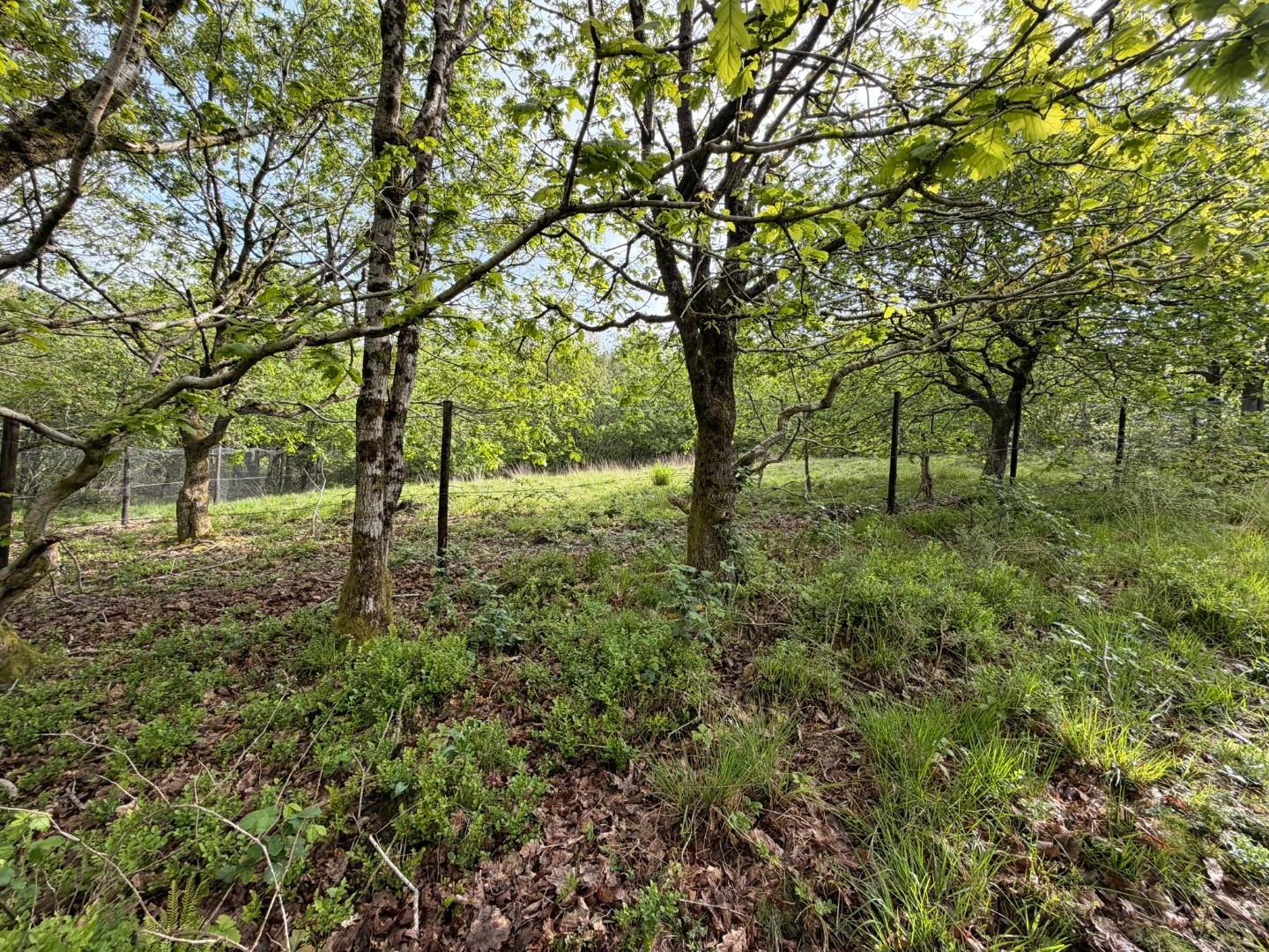 Approximately 5.706 acres adjacent to, Afan Valley Road, Cwmavon, Port Talbot SA12 9HA